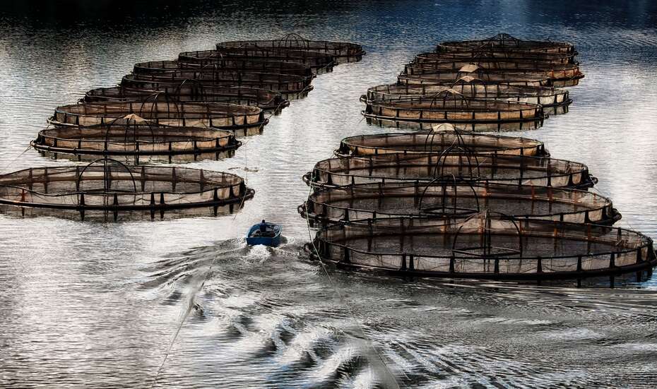 Tuerkei_Aquakultur.jpg
