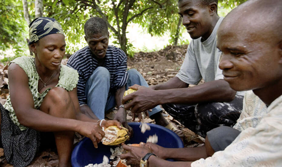 Sierra Leone Kakao.
