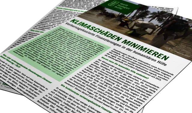 2018-factsheet-klimaschaeden-minimieren.jpg