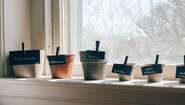 2022-gaertnern_fensterbank_toepfe_copyright_kelly-sikkema_unsplash.jpg Mini-Garten auf der Fensterbank: Sechs Töpfe stehen mit Beschriftung auf der Fensterbank, 2022.