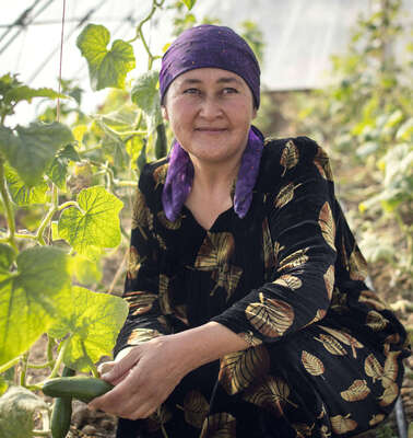 Eine Frau in einem Gewächshaus in Tadschikistan.