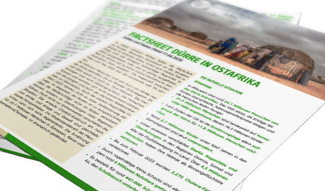 2023-factsheet-duerre-in-ostafrika-teaser.jpg