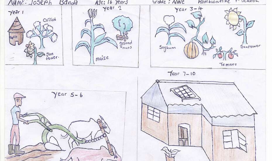 Sambia_Zukunftsbilder_Daum_2.jpg Zeichnung einer perfekten Farm in den Augen eines 16-Jährigen, Sambia.