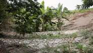Haiti: Bauern kämpfen gegen die Folgen des Klimawandels Erosionsschutz in Haiti: Aufnahme von Steinwälle, die die Böden sichern