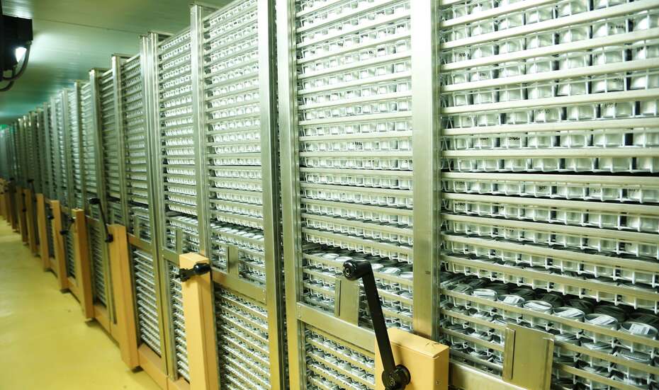 Saatgut_Reissorten_Bibliothek.jpg