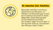 2020-illustration-heuschreckenposter-fact-07