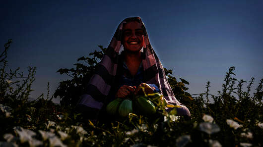 Frau sitzt in einem Feld und hält Obst in der Hand.