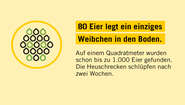 2020-illustration-heuschreckenposter-fact-01
