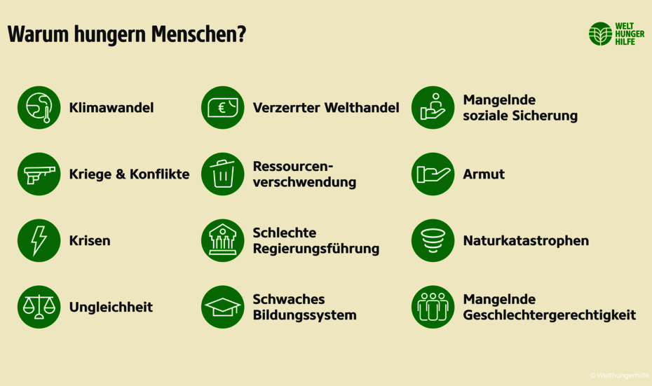 Infografik: Ursachen des Hungers - Warum Menschen hungern Infografik: Warum Menschen hungern