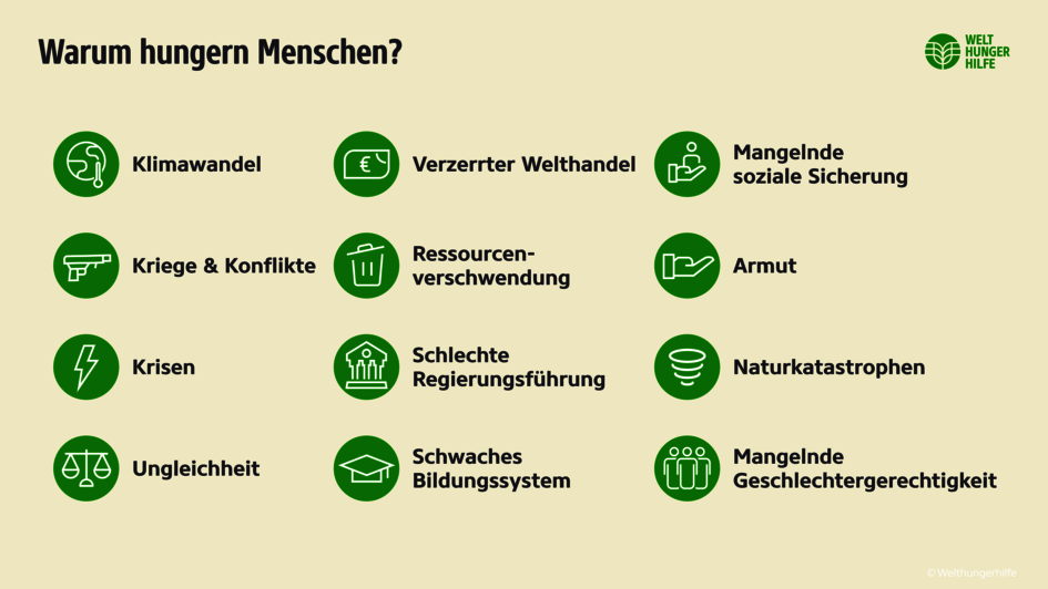 Welthunger Infografik: Warum hungern Menschen?