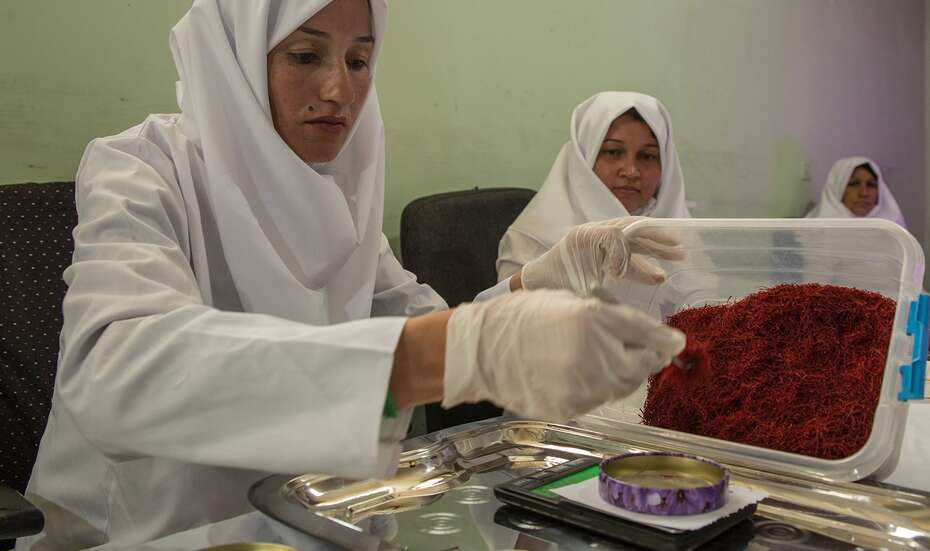 Shahnaz Zaidee wiegt Safran, Afghanistan.