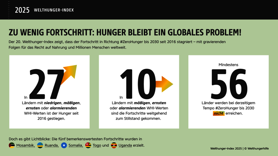 Grafik, die wesentliche Probleme aus dem Bericht zum Welthunger-Index aufzeigt