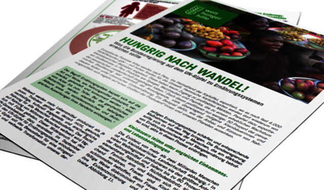 2021-food-systems-policy-brief-de-teaser.jpg