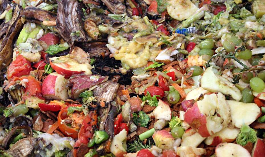 food_waste_general_FAO_kl.jpg