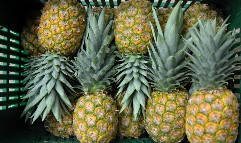 Ananas_Export.jpg