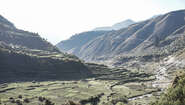 2019-nepal-reisfelder-originalbootcamp-landschaft-wandern-C_Chris_Adelmann.jpg Reisfelder in Nepal, 2019.