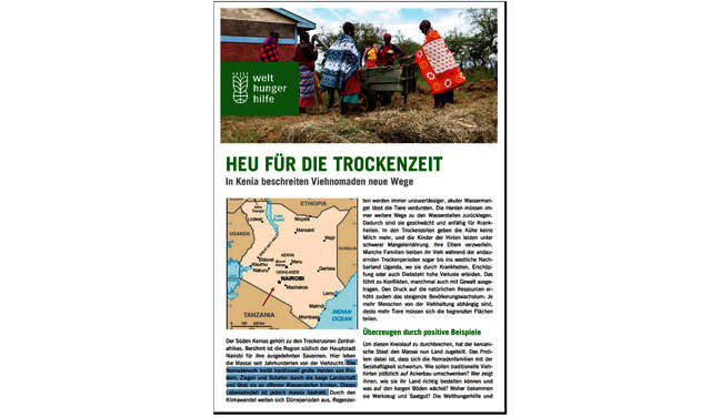 heu-fuer-die-trockenzeit-kenia.jpg