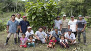Eine Kakaofarm in Peru.