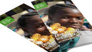 Image Flyer