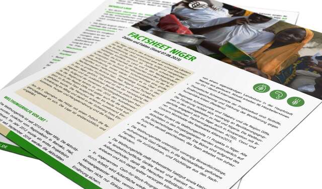 2019-teaser-factsheet-niger.jpg