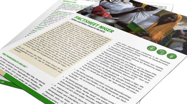Anzeigebild des Factsheets Niger: Fakten und Zahlen (Stand: 07.08.2023)