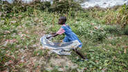 2020_Kenia_Heuschrecken_Kenia.jpg Heuschreckenplage in Kenia, 2020.
