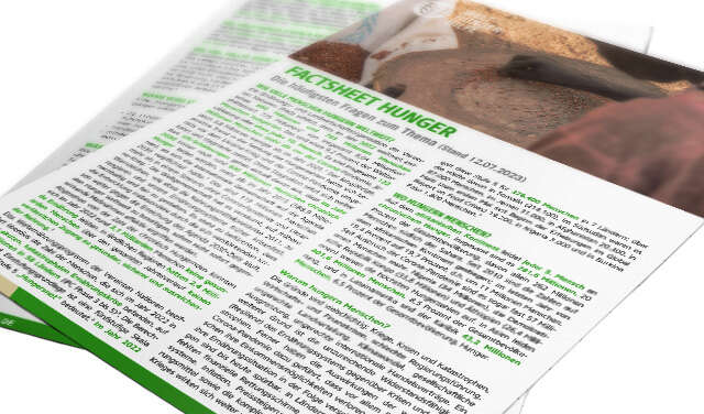 Factsheet Hunger 2021