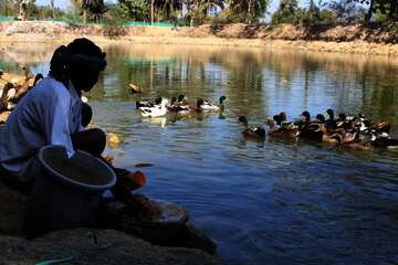Ganeshwar Madi mit Enten aus seiner Zucht, Malkangiri, Indien, 2023