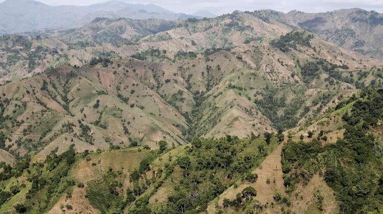 Haiti: Bauern kämpfen gegen die Folgen des Klimawandels Abholzung in Haiti: Landschaftsaufnahme von kahlen Hügeln.