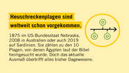 Fakten zur Heuschreckenplage: Heuschreckenplage sind weltweit schon vorgekommen.