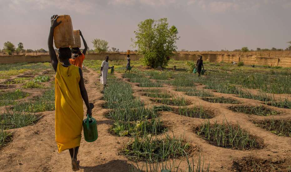 Suedsudan_Gemueseanbau.jpg