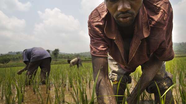 Ruanda 2014 Rwanda 2014