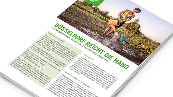 Publikations-Cover: Düsseldorf reicht die Hand