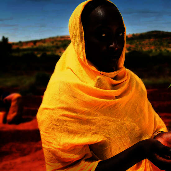 Woman holding tree sapling in her palms
