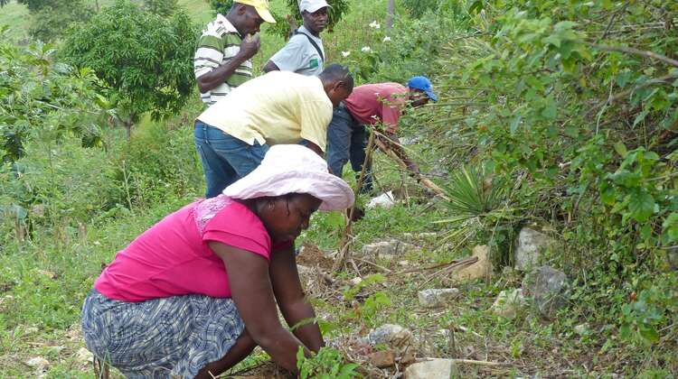 Bauern kämpfen gegen die Folgen des Klimawandels Bäuerinnen und Bauern bauen einen kleinen Steinwall zum Schutz gegen Erosion auf Haiti.
