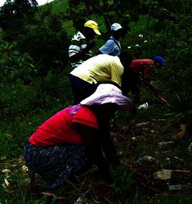 Bäuerinnen und Bauern bauen einen kleinen Steinwall zum Schutz gegen Erosion auf Haiti.