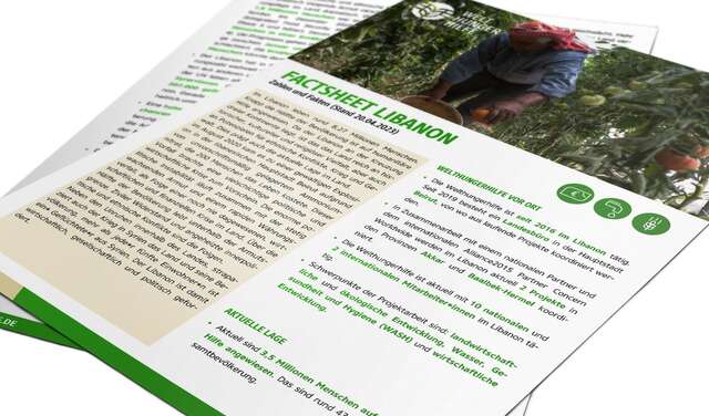  Vorschaubild des Factsheets zur Arbeit der Welthungerhilfe im Libanon