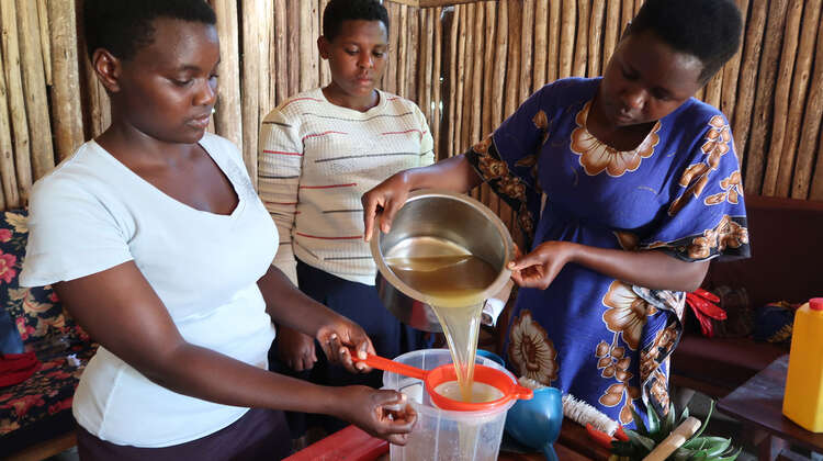 2019-green-colleges-ausbildung-sirupherstellung-uganda-c-welthungerhilfe.jpg Drei Frauen bei der Sirupherstellung.