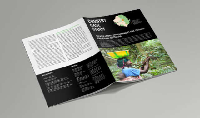 2017-whi-fallstudie-sierraleone.jpg
