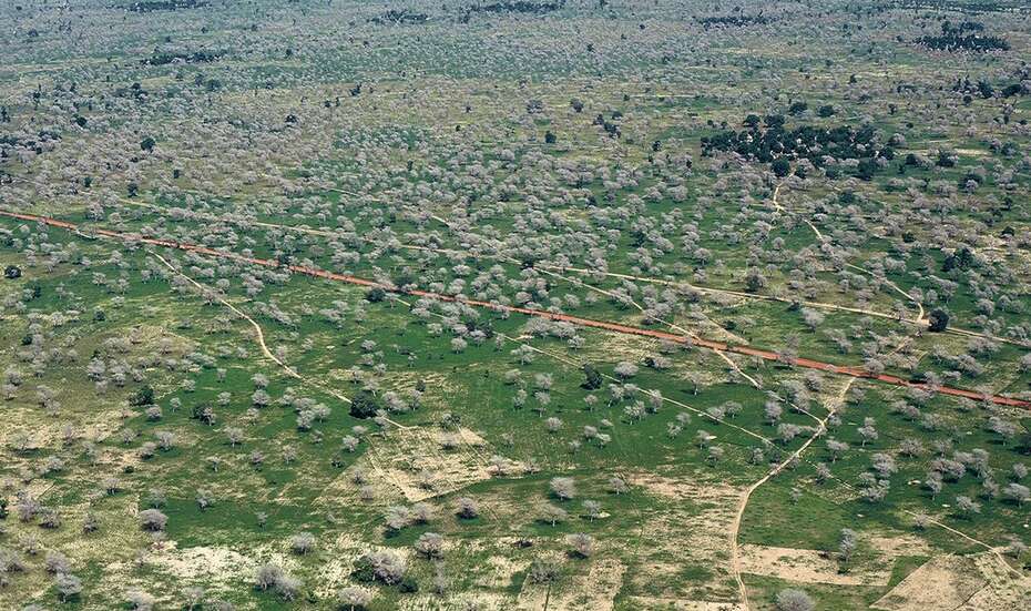 Senegal_upscaled_farmland.jpg